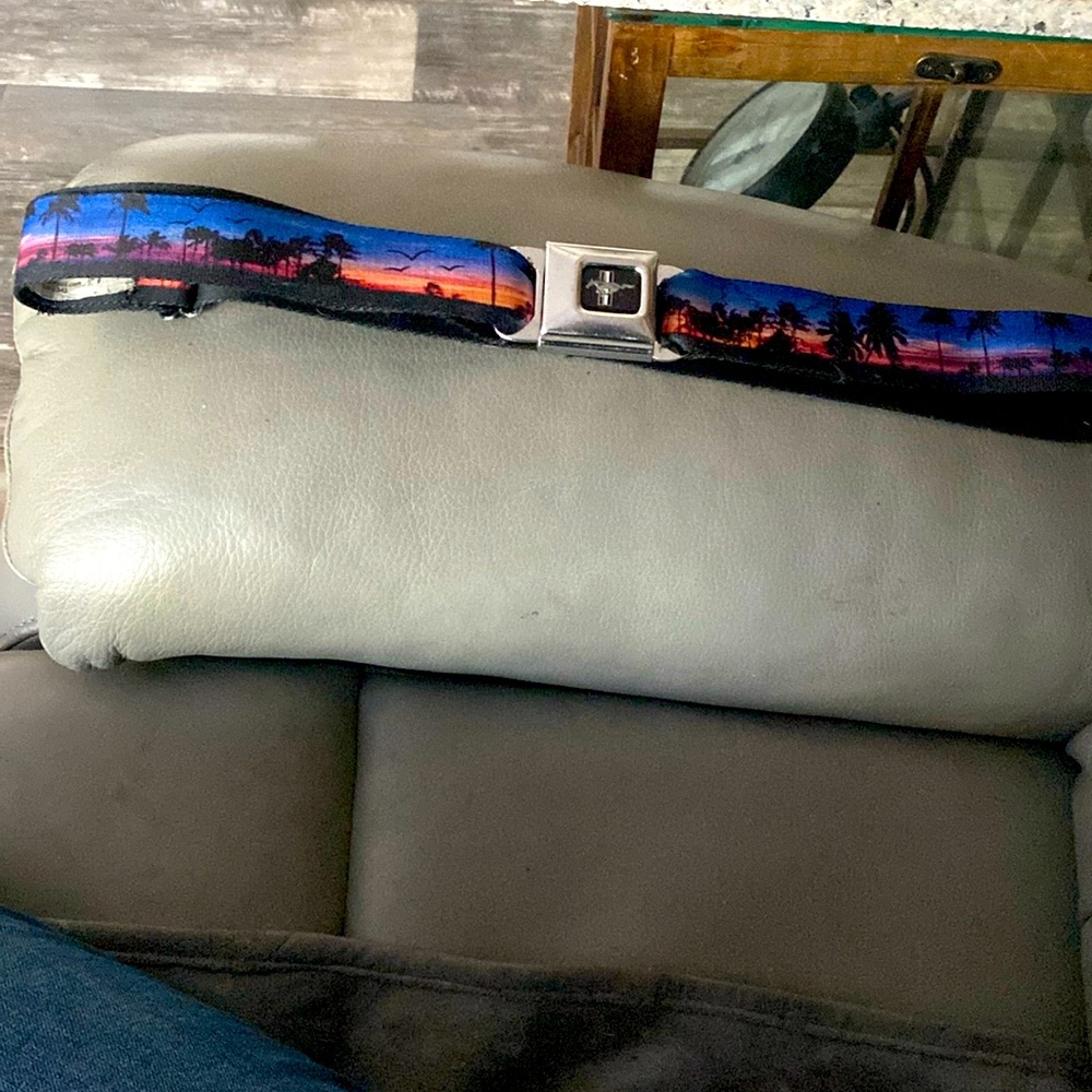 Ford Mustang seatbelt buckle belt